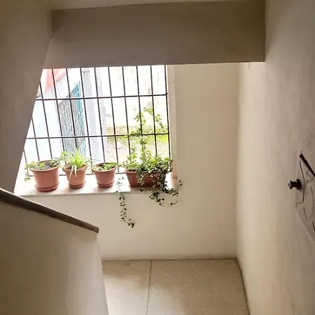 Apartament Family 21 *