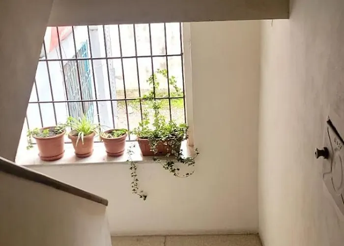 Apartment Family 21 *